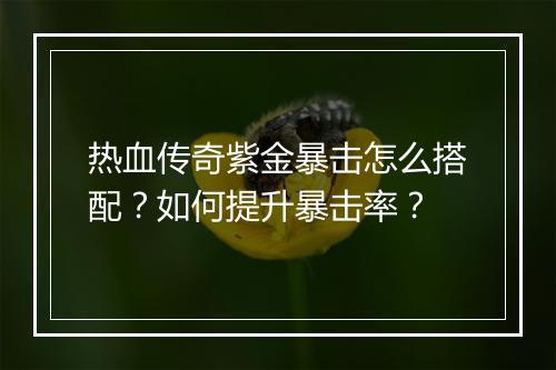 热血传奇紫金暴击怎么搭配？如何提升暴击率？
