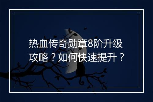 热血传奇勋章8阶升级攻略？如何快速提升？