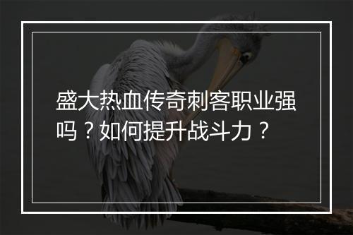 盛大热血传奇刺客职业强吗？如何提升战斗力？