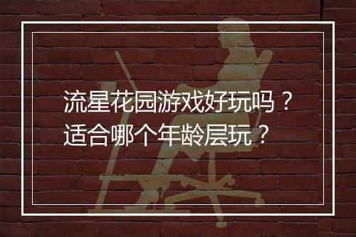 流星花园游戏好玩吗？适合哪个年龄层玩？