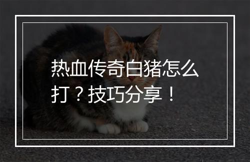 热血传奇白猪怎么打？技巧分享！