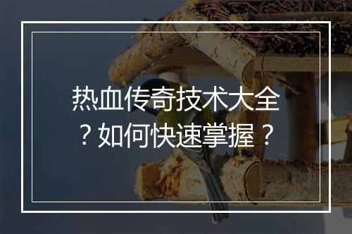 热血传奇技术大全？如何快速掌握？