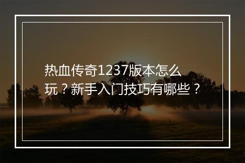 热血传奇1237版本怎么玩？新手入门技巧有哪些？