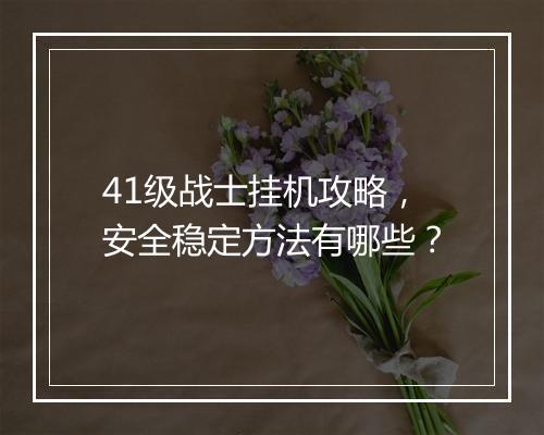 41级战士挂机攻略，安全稳定方法有哪些？