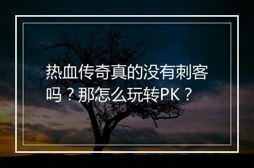 热血传奇真的没有刺客吗？那怎么玩转PK？
