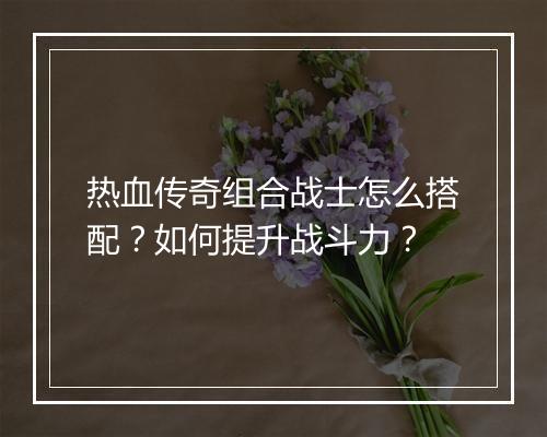 热血传奇组合战士怎么搭配？如何提升战斗力？