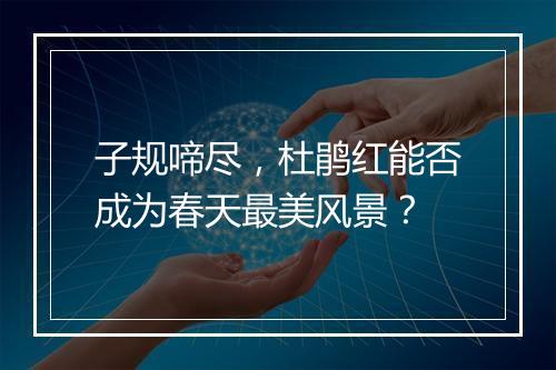 子规啼尽，杜鹃红能否成为春天最美风景？
