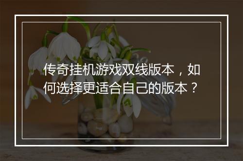 传奇挂机游戏双线版本，如何选择更适合自己的版本？
