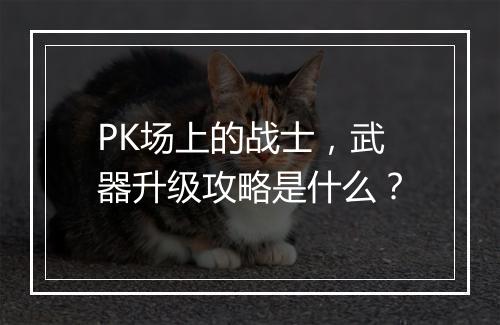 PK场上的战士，武器升级攻略是什么？