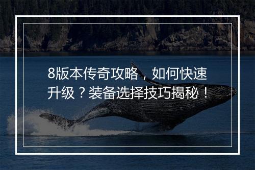 8版本传奇攻略，如何快速升级？装备选择技巧揭秘！