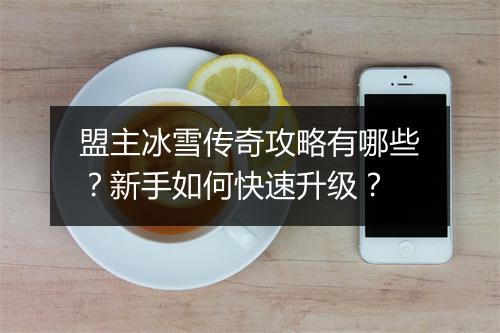 盟主冰雪传奇攻略有哪些？新手如何快速升级？