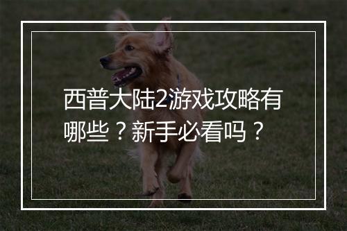 西普大陆2游戏攻略有哪些？新手必看吗？