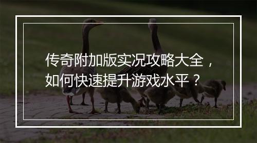 传奇附加版实况攻略大全，如何快速提升游戏水平？