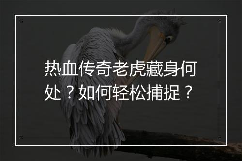 热血传奇老虎藏身何处？如何轻松捕捉？