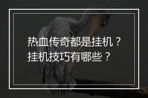 热血传奇都是挂机？挂机技巧有哪些？