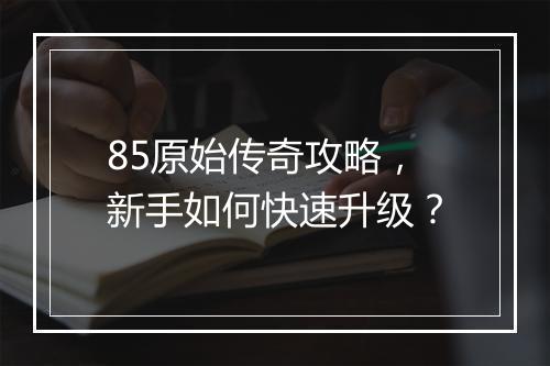 85原始传奇攻略，新手如何快速升级？