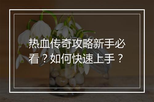 热血传奇攻略新手必看？如何快速上手？