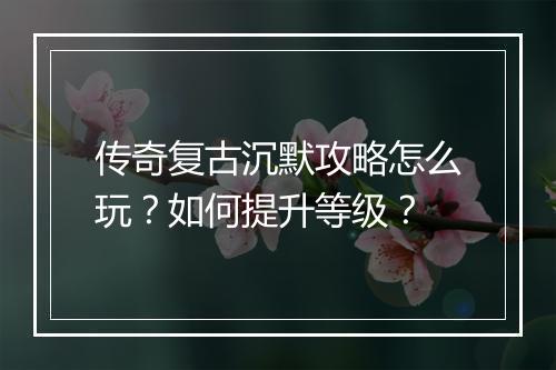 传奇复古沉默攻略怎么玩？如何提升等级？