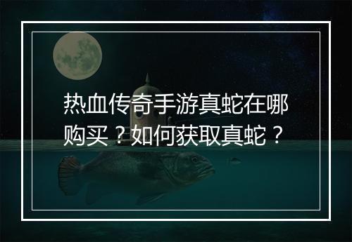 热血传奇手游真蛇在哪购买？如何获取真蛇？