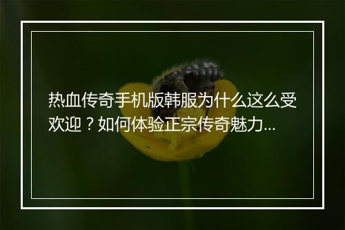 热血传奇手机版韩服为什么这么受欢迎？如何体验正宗传奇魅力？