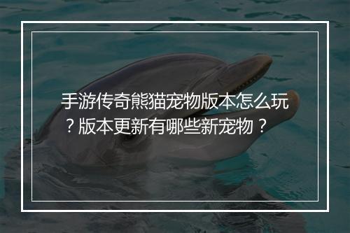 手游传奇熊猫宠物版本怎么玩？版本更新有哪些新宠物？