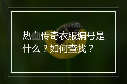 热血传奇衣服编号是什么？如何查找？