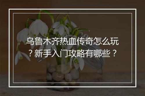 乌鲁木齐热血传奇怎么玩？新手入门攻略有哪些？