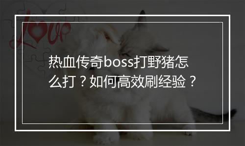 热血传奇boss打野猪怎么打？如何高效刷经验？