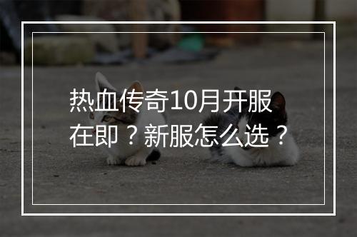 热血传奇10月开服在即？新服怎么选？