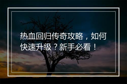 热血回归传奇攻略，如何快速升级？新手必看！