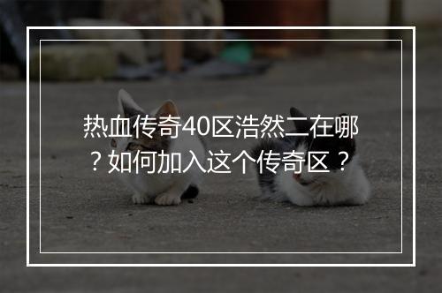 热血传奇40区浩然二在哪？如何加入这个传奇区？