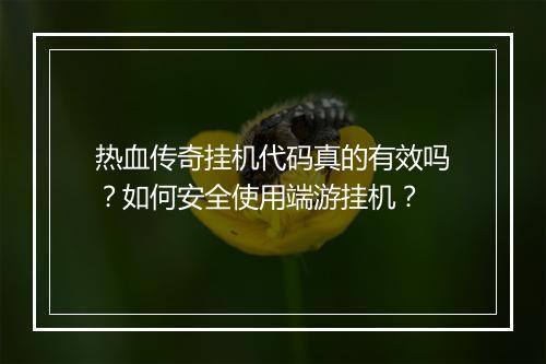 热血传奇挂机代码真的有效吗？如何安全使用端游挂机？