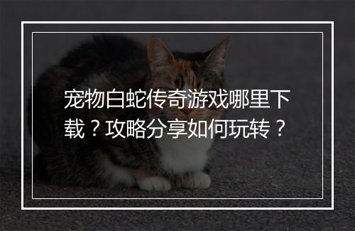 宠物白蛇传奇游戏哪里下载？攻略分享如何玩转？