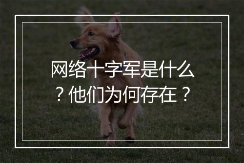 网络十字军是什么？他们为何存在？