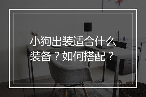 小狗出装适合什么装备？如何搭配？