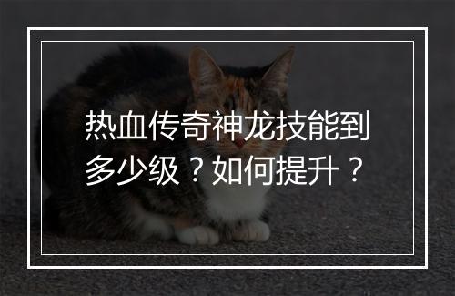 热血传奇神龙技能到多少级？如何提升？