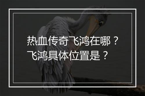 热血传奇飞鸿在哪？飞鸿具体位置是？
