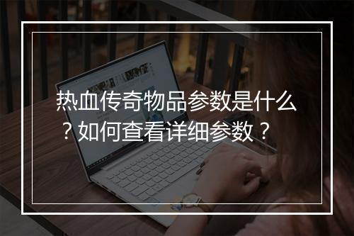 热血传奇物品参数是什么？如何查看详细参数？