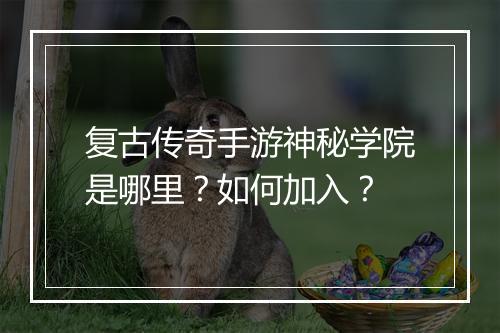 复古传奇手游神秘学院是哪里？如何加入？