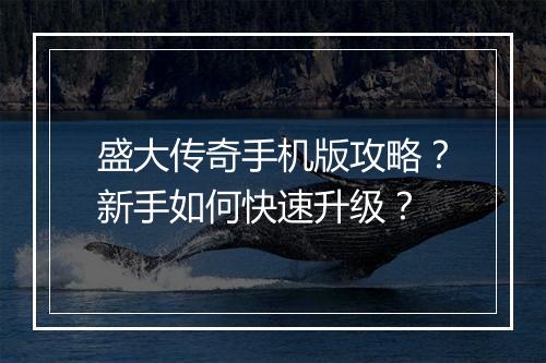 盛大传奇手机版攻略？新手如何快速升级？