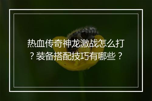 热血传奇神龙激战怎么打？装备搭配技巧有哪些？