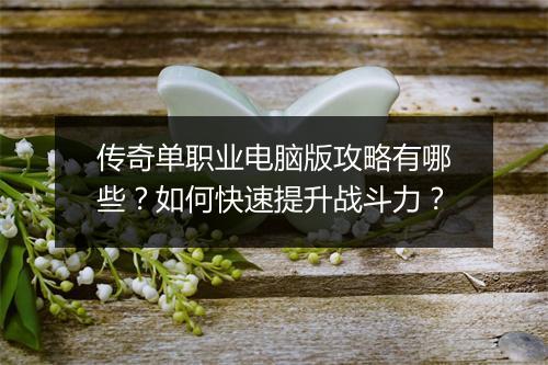 传奇单职业电脑版攻略有哪些？如何快速提升战斗力？