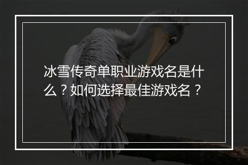 冰雪传奇单职业游戏名是什么？如何选择最佳游戏名？