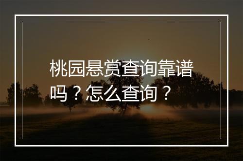 桃园悬赏查询靠谱吗？怎么查询？