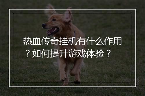 热血传奇挂机有什么作用？如何提升游戏体验？
