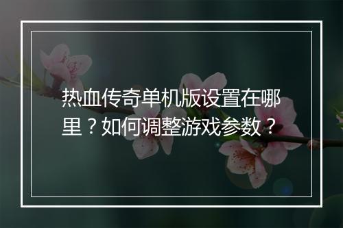 热血传奇单机版设置在哪里?如何调整游戏参数?