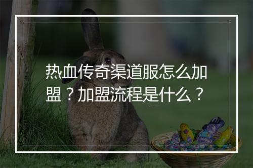 热血传奇渠道服怎么加盟？加盟流程是什么？