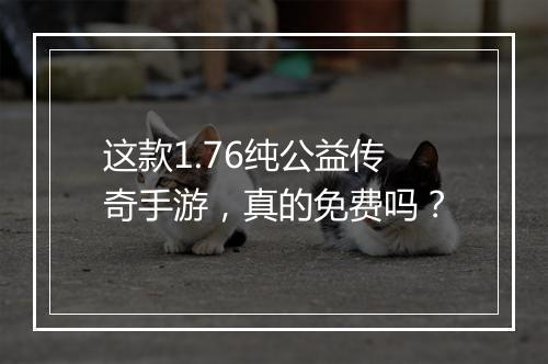 这款1.76纯公益传奇手游，真的免费吗？