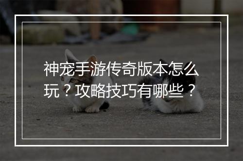 神宠手游传奇版本怎么玩？攻略技巧有哪些？