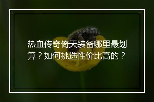 热血传奇倚天装备哪里最划算？如何挑选性价比高的？